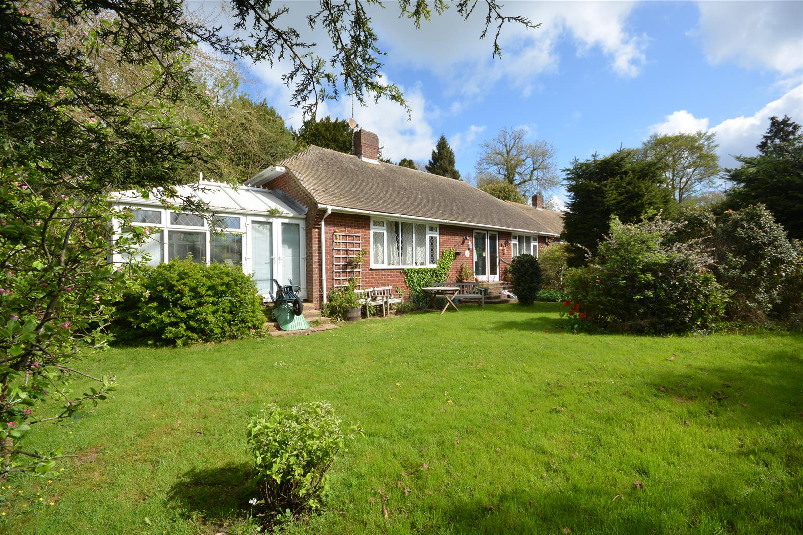 Rush, Witt & Wilson Battle Office